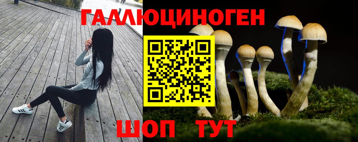 Галлюциногенные грибы ЛСД Иваново