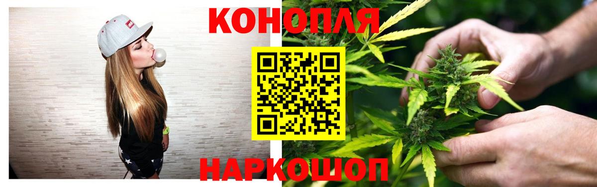 Бошки Шишки конопля Иваново